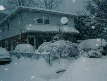 The apartment in the snow